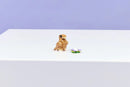 LEGO Creator 3 In 1 Cute Hamster With A Flower