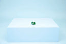 LEGO Creator 3 In 1 Turtle With A Water Lily Flower
