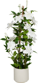 Faux Clematis in White