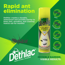 Dethlac Insecticidal Lacquer Spray 250ml