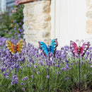 Bella Butterflies Loony Garden Stakes Assorted