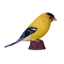 Mojo Fun Bird Figurine - American Goldfinch