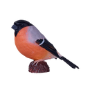 Mojo Fun Bird Figurine - Bullfinch