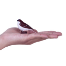 Mojo Fun Bird Figurine - House Sparrow