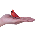 Mojo Fun Bird Figurine - Red Carnial