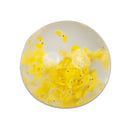 Scrunchems Duck Squish Ball