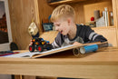 LEGO Technic Monster Jam™ Grave Digger™ Fire & Ice