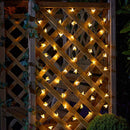 Solar Buzzy Bee String Lights - Set of 50