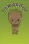 No Age Birthday Card Groot