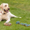 Zoon Uber-Activ Rope Chukker Dog Toy