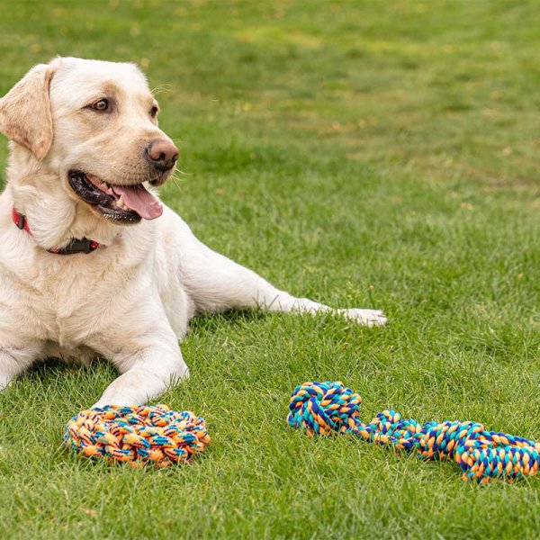 Zoon Uber-Activ Rope Donut 18cm Dog Toy