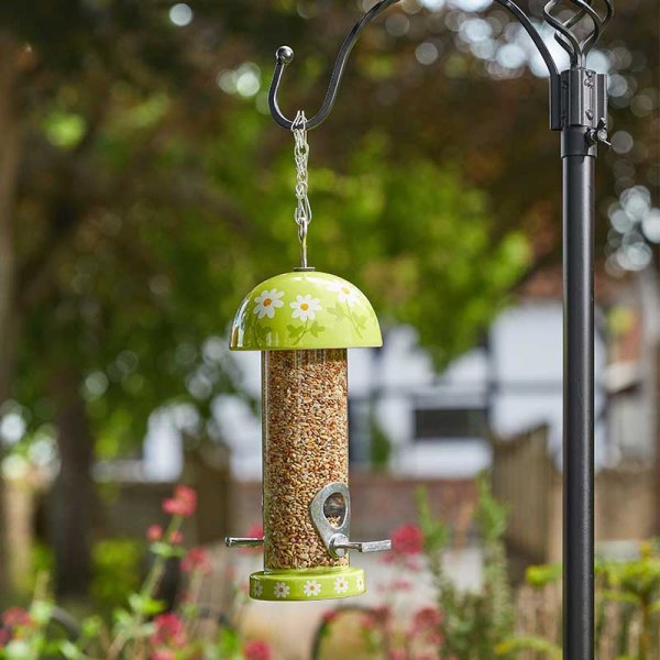 Flamboya Seed Feeder - Flowers