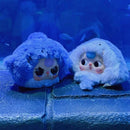 Baby Three Romantic Ocean Blind Box Plush Keychain