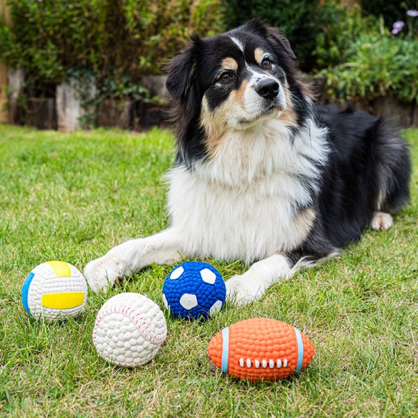 Zoon Squeaky Latex Pooch Ball 9cm Assorted