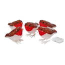 InLit Ice Robins - Set of 5