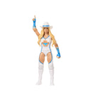 WWE Basic Action Figure Assortment - Series 163