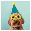 No Age Birthday Card Dog With Glasses