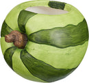 Fruit Plant Pot Assorted