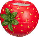 Fruit Plant Pot Assorted