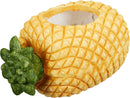 Fruit Plant Pot Assorted