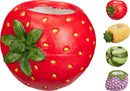 Fruit Plant Pot Assorted