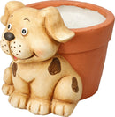 Animal Plant Pot Assorted