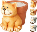 Animal Plant Pot Assorted