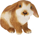 Lop Eared Rabbit Decorative Figure