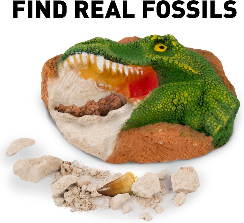 National Geographic Dinosaur Dig Kit