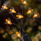 Solar 8 Stem Bee Lights Stake Light