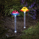 Solar Funky Fungus Stake Light Assorted