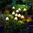 Solar Lumi Shroom Stake Light 10 Pack