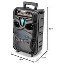 Wireless Karaoke Speaker
