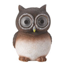 Solar Bright Eyes Hedgerow Heroes Assorted