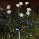 Solar FloraLights 8 Stem Warm White Stake Light