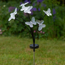 Solar FlutterLights 8 Stem Multi Coloured Stake Light