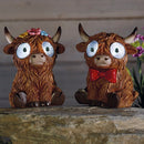 Solar Bright Eyes Highlander Assorted