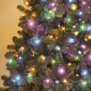 Christmas Lights 1000 LED - Pastel Rainbow