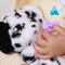 Baby Paws Dalmation