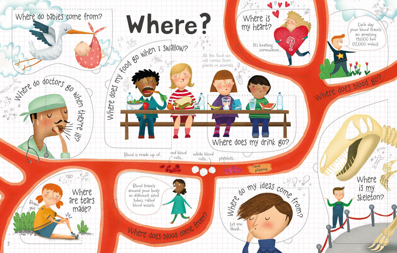 Lift-The-Flap Questions and Answers about Your Body Children's Book