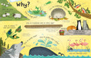 Lift-The-Flap Questions and Answers about Animals Children's Book