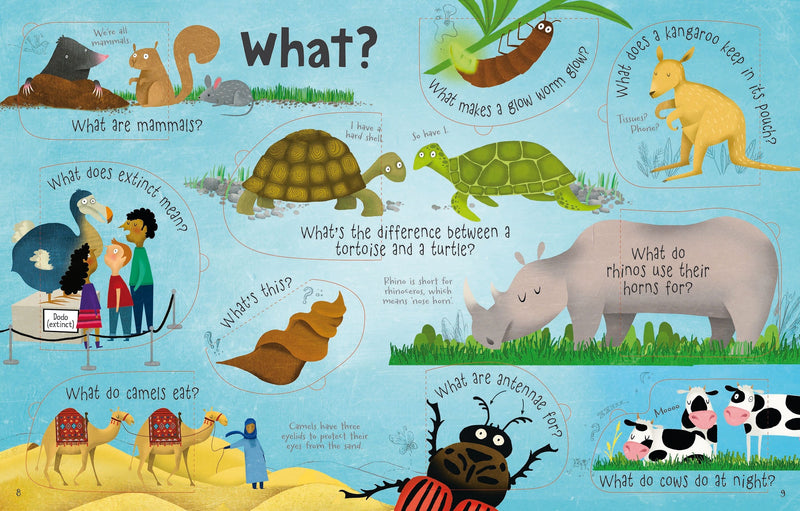 Lift-The-Flap Questions and Answers about Animals Children's Book