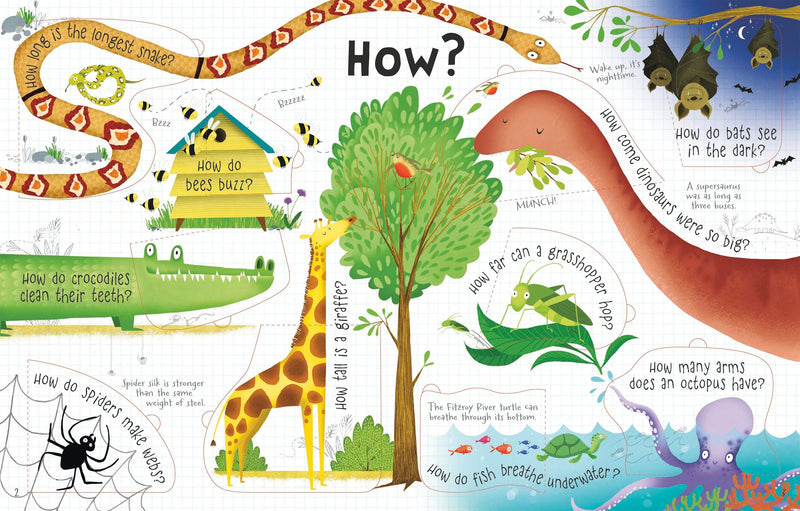 Lift-The-Flap Questions and Answers about Animals Children's Book