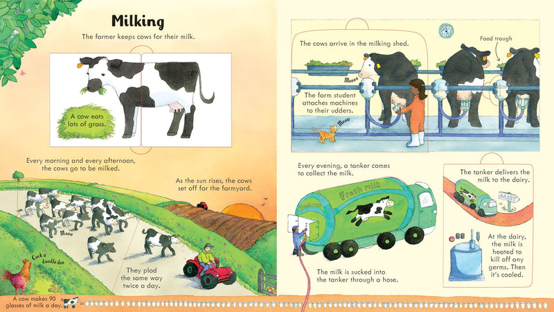 Look Inside a Farm Children's Book