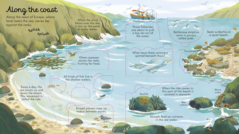 Look Inside Seas and Oceans Children's Book