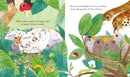 Peep Inside a Bird's Nest Children's Book