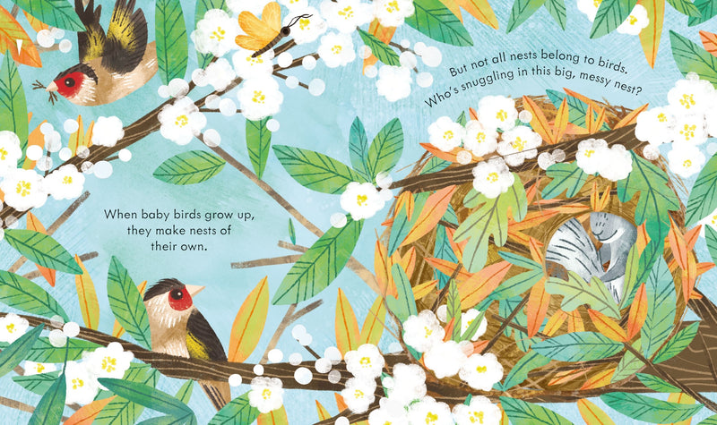 Peep Inside a Bird's Nest Children's Book