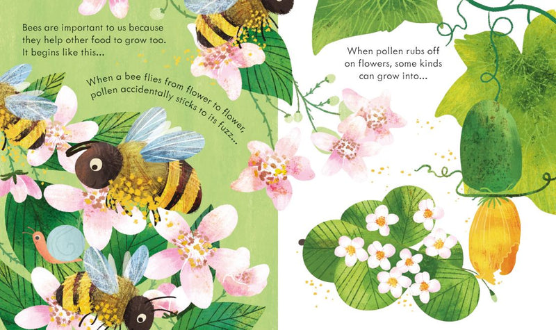 Peep Inside a Beehive Children's Book