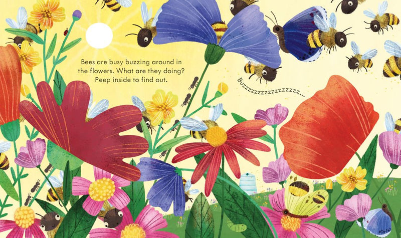 Peep Inside a Beehive Children's Book