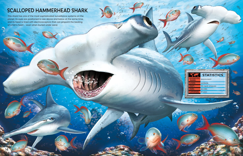 Build Your Own Sea Creatures Sticker Book